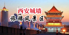 大鸡巴干白虎骚逼中国陕西-西安城墙旅游风景区